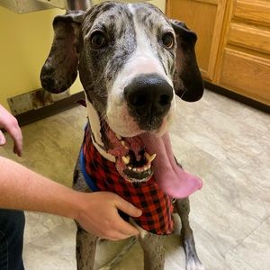 Meet your Posher, Katy